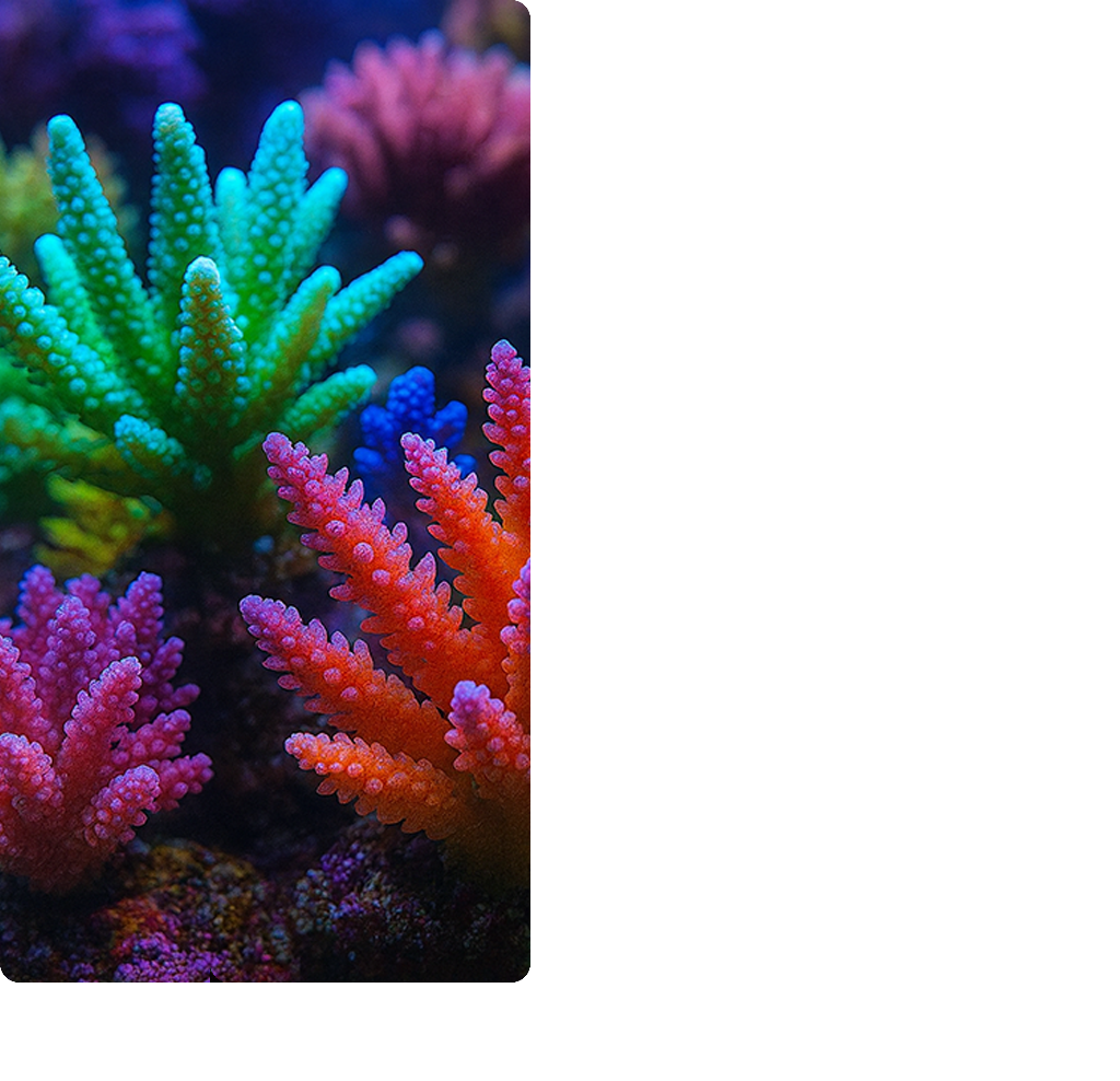 service_01-1 service_01-1