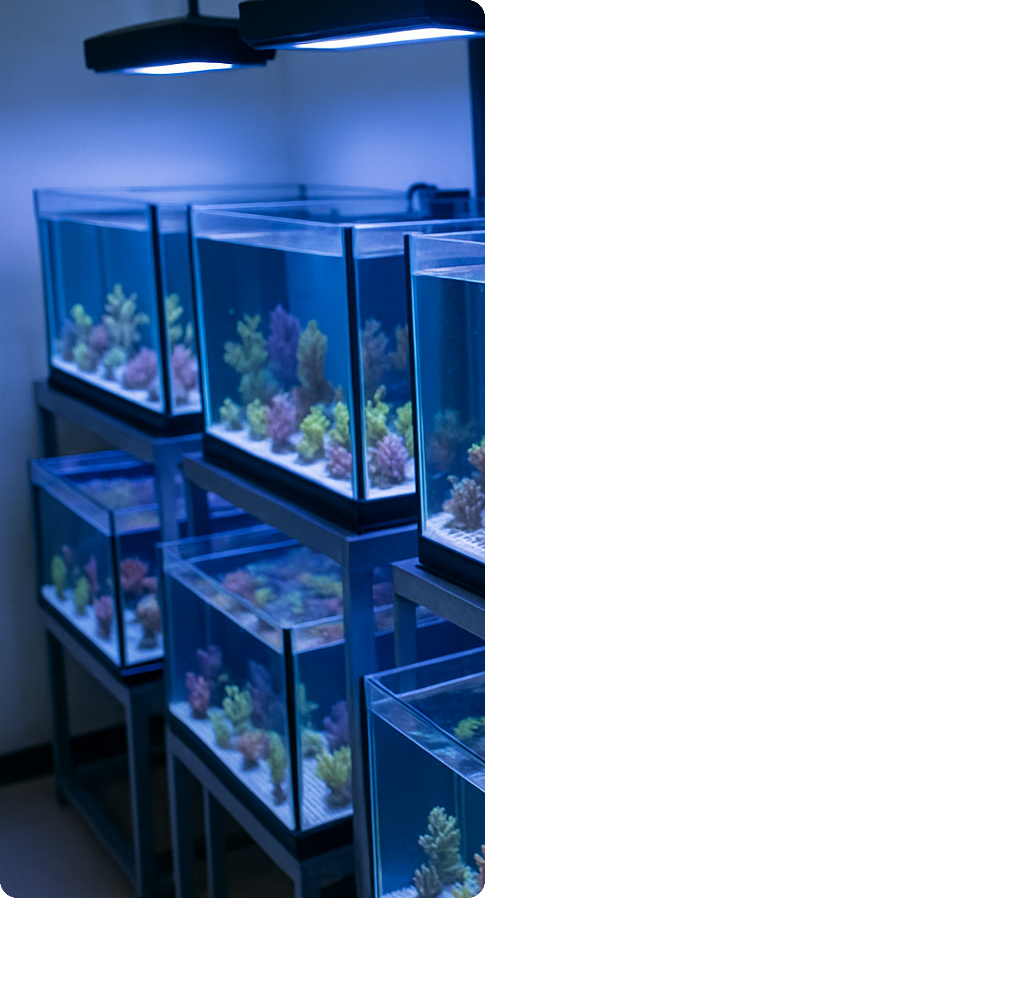 trading1-1 trading1-1