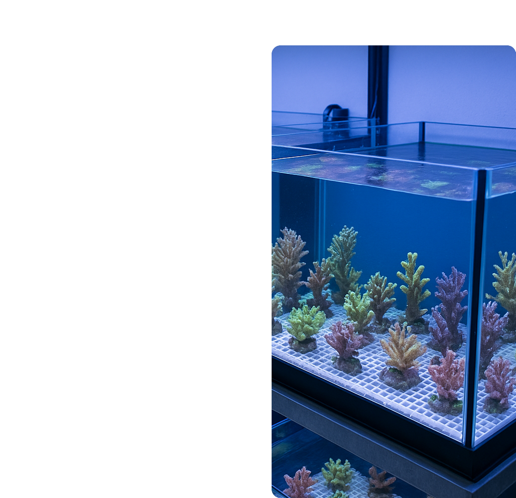 trading1-2 trading1-2